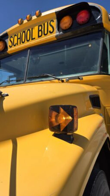 Picture of 2009 Blue Bird School Bus