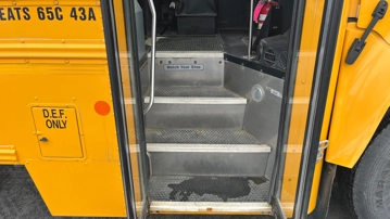 Picture of 2020 Blue Bird Vision Bus