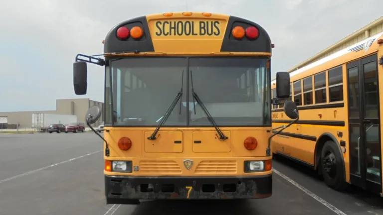 Picture of 2012 International RE School Bus
