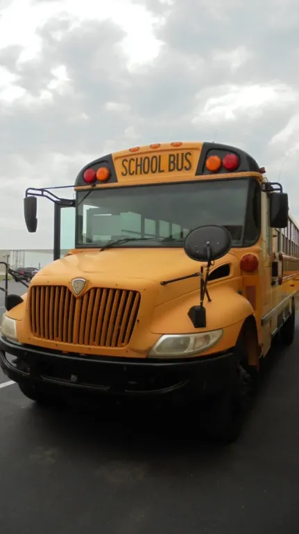 Picture of 2009 International CE School Bus