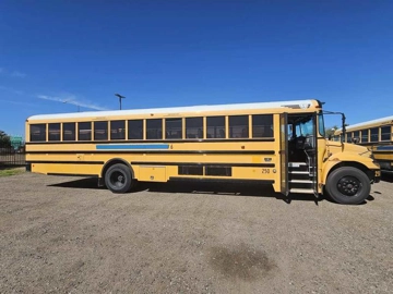 Picture of 2013 International PB105 School Bus