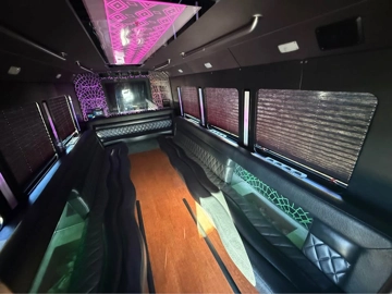 Picture of 2015 Ford E450 22P Party Bus