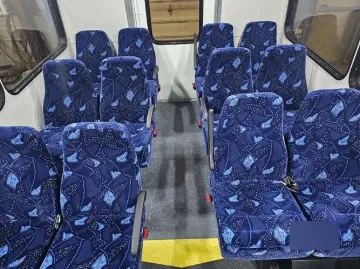 2017 CHEVROLET EXPRESS 4500 ADA Shuttle Bus