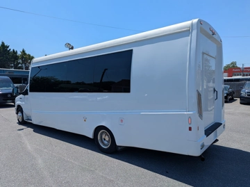 Picture of 2019 Ford E450 Shuttle Bus