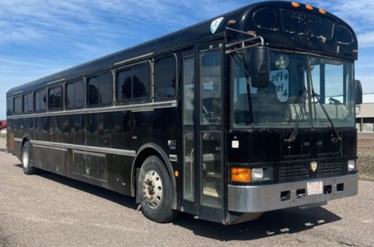 Picture of 2010 International Navistar Re School Bus
