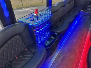 Picture of 2022 Temsa Limo Bus