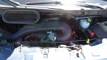 Picture of 2019 Ford Passenger Van