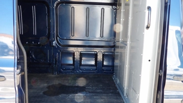 Picture of 2019 Ford Passenger Van