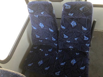 Picture of 2015 Ford E450 Shuttle Bus