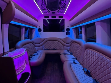 Picture of 2019 Ford Transit 350 Limo & Party Bus