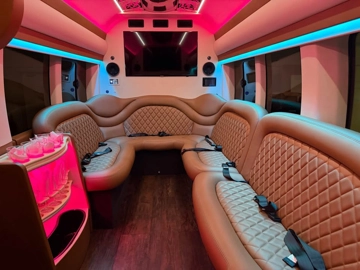Picture of 2019 Ford Transit 350 Limo & Party Bus