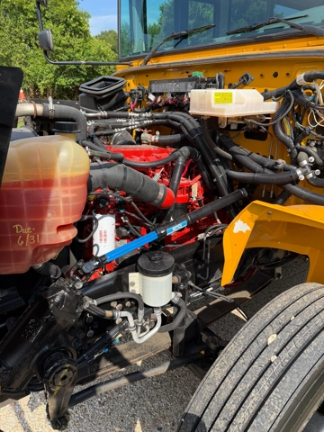 Picture of 2018 International CE300 School Bus