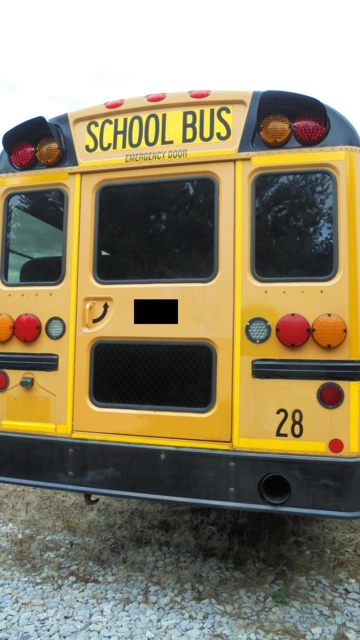 Picture of 2016 International CE School Bus