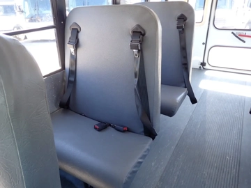 Picture of 2012 Chevrolet Micro Bird Shuttle Bus