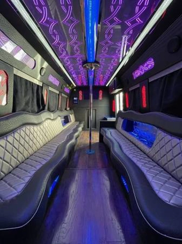 Picture of 2010 Ford E450 Party Bus