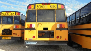 Picture of 2017 Freightliner Thomas School Bus