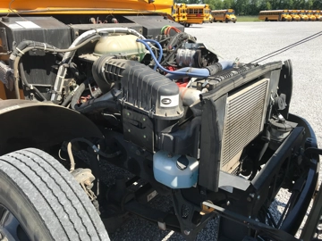 Picture of 2024 Blue Bird School Bus