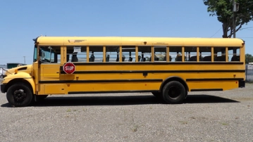 Picture of 2015 International 3000 School Bus