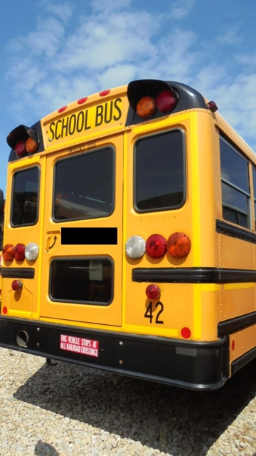Picture of 2017 International CE School Bus