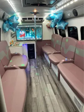 Picture of 2011 Ford E-450 Limo & Party Bus
