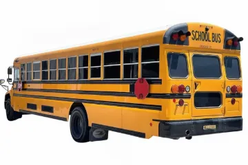 Picture of 2025 Blue Bird Vision School Bus