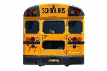 Picture of 2025 Blue Bird Vision School Bus