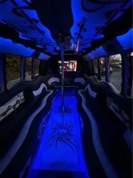 Picture of 1998 Ford E350 Super Duty Limo & Party Bus
