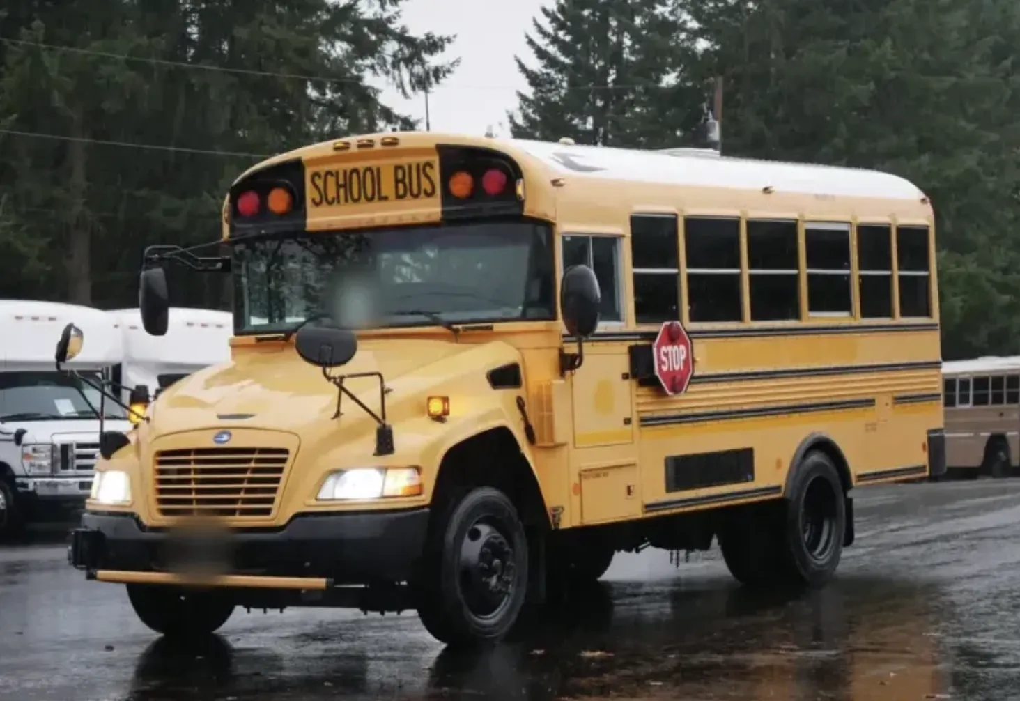 Blue Bird Vision School Bus