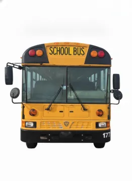 Picture of 2016 IC Bus Re School Bus