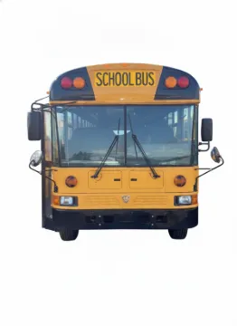 Picture of 2015 International RE School Bus