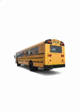 Picture of 2014 International RE School Bus