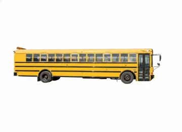 Picture of 2013 International RE School Bus
