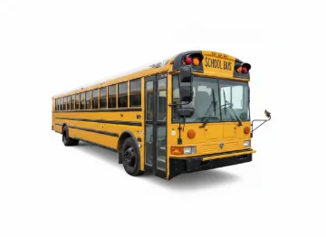 Picture of 2012 International RE School Bus