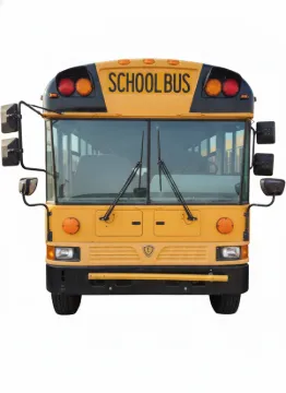 Picture of 2012 International RE School Bus