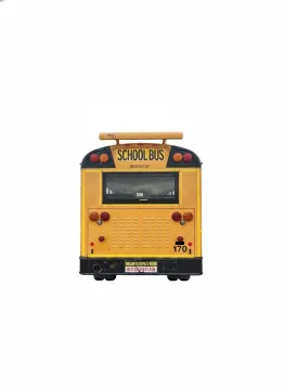 Picture of 2013 International RE School Bus