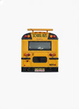 Picture of 2013 International RE School Bus