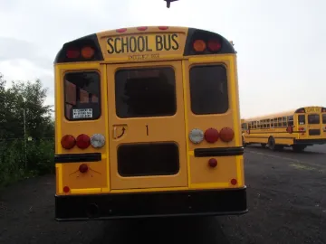 Picture of 2019 International CE ADA School Bus