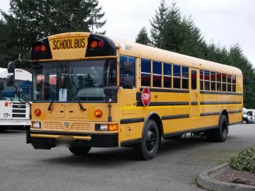 Picture of 2011 International RE 300 School Bus