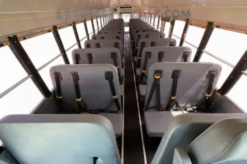 Picture of 2024 International CE School Bus