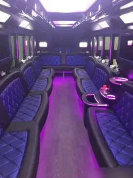 2015 Ford F-550 Tiffany Party Bus 36P