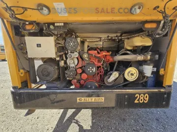 Picture of 2019 Blue Bird All American T3 Re 4006 School Bus