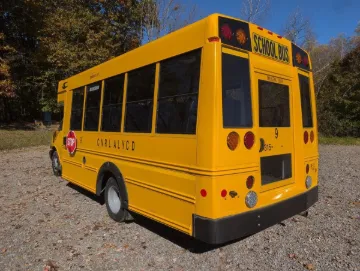 Picture of 2020 Chevrolet Microbird School Bus
