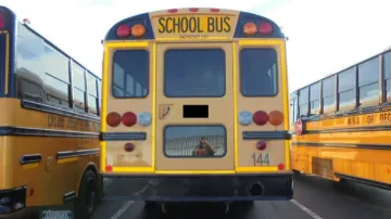 Picture of 2010 International CE ADA School Bus
