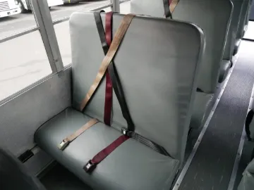 Picture of 2010 Chevrolet Express Thomas School Bus