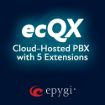 Picture of Epygi QX-ECQX-0005 ecQX Unified Comms Solution 5 Phone Ext