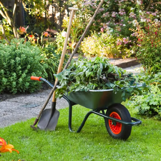 Picture for category Lawn & Garden