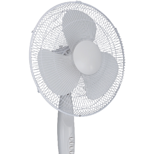 100077~2.jpg