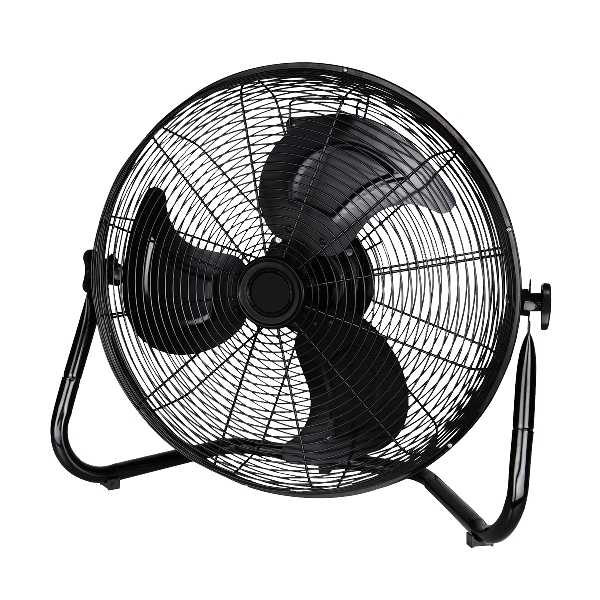 100079.jpg