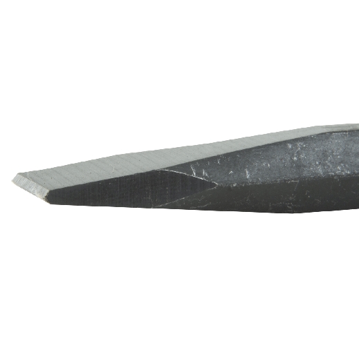 125002_z.jpg