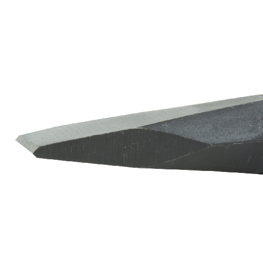 125004_z.jpg